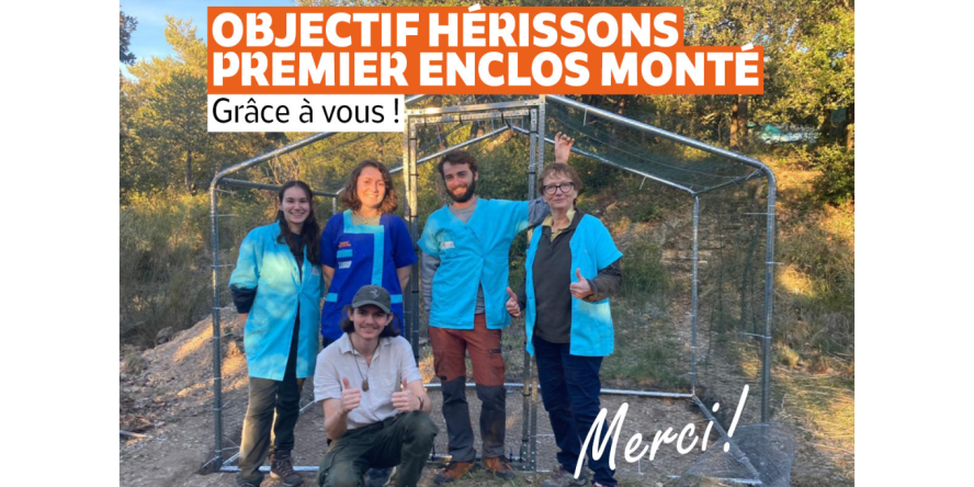 L'équipe du Centre vient de monter le premier enclos pour les hérissons © CRSFS LPO PACA